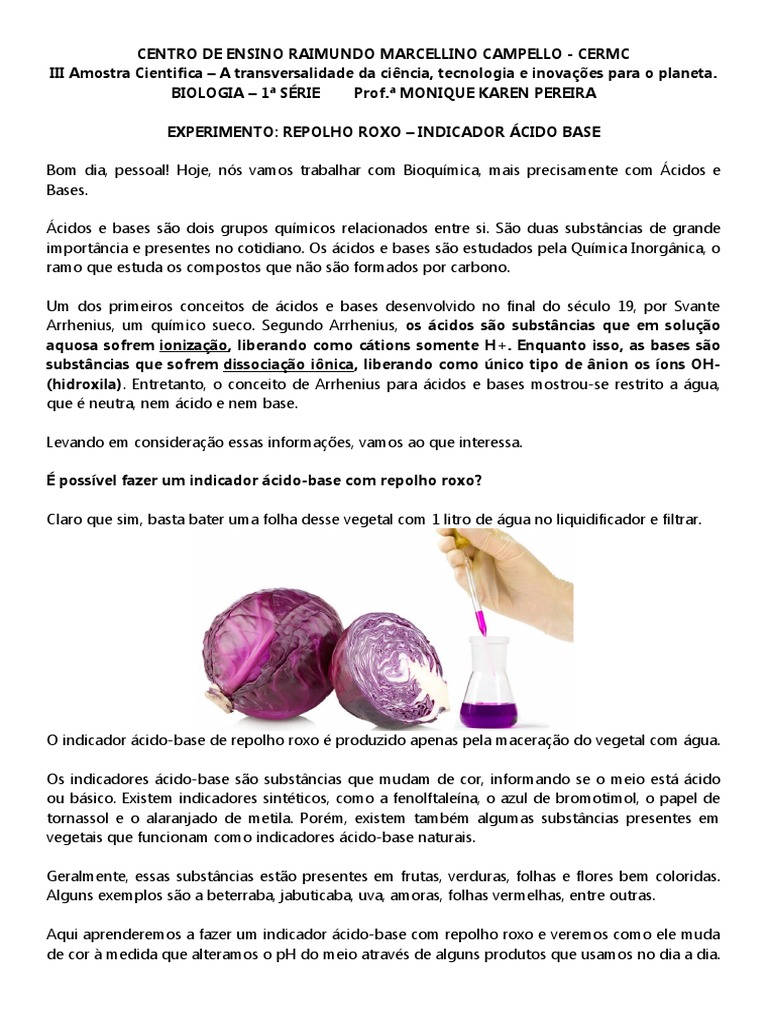 Experimento com Repolho Roxo como Indicador | PDF | Ácido | Química