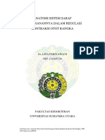 Anatomi Sistem Saraf Dan Peranannya Dalam Regulasi Kontraksi Otot Rangka