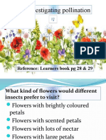 2.6 Investigating Pollination (1)