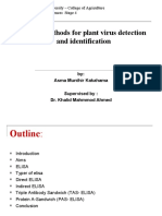 ELISA Methods for Plant Virus Detection and Identification