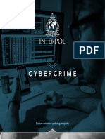 Cybercrime: Future-Oriented Policing Projects