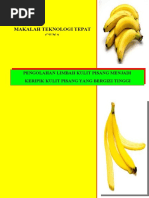 Download Makalah Keripik Kulit Pisang by Jhiedha Chery SN54849911 doc pdf