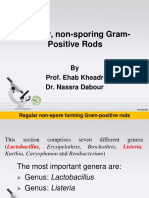 Regular, Nonsporing Gram-P RodsOK