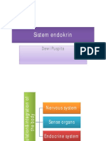 Anfis Endokrin Idk-1 Els