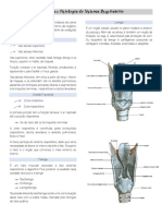 Resumo Sistema Respiratório