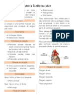 Sistema Cardiovascular: Coração, Circulação e Estruturas