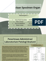 Pengelolaan Spesimen Organ