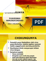 chikungunya PKM WRK