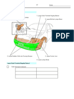 JOBSHEET Headlight