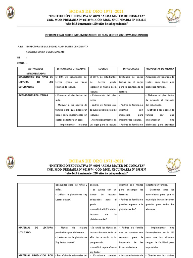 Informe Final Sobre Implementacion De Plan Lector 2021 Rvm Pdf