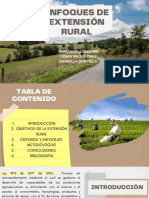 Enfoques de Extensión Rural