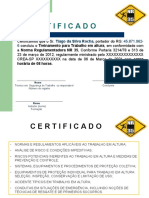 Certificado de Treinamento de NR 35