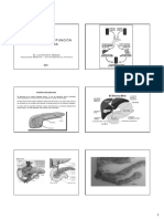 Evaluación de La Función Pancreática