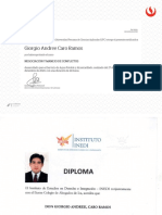 Documentos Experiencia