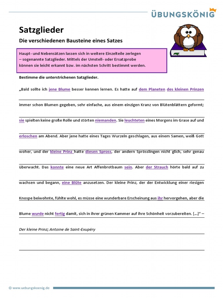 2 Uebungskoenig Satzglieder | PDF