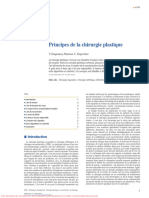 Principes de La Chirurgie Plastique