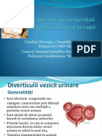 Diverticuli Al Vesicii Urinare