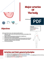 Major Arteries of the Body: Aorta, Carotids, Subclavians & More