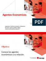 Clase N°5 - Agentes Economicos