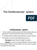 The Cardiovascular System