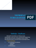 Curs 4- Nefropatiile Tubulo- Interstitiale