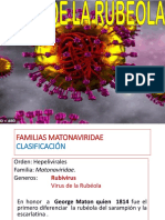 Rubeola: clasificación, estructura y patogenia del virus