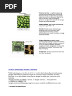 Download Jaringan Penyokong by Fahmi Rahma SN54863112 doc pdf