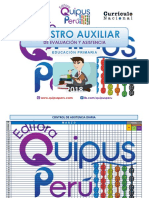 Registro Auxiliar - Quipus Perú