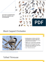 Jsla Virtual Camp Presention Week 5 - Common Birds