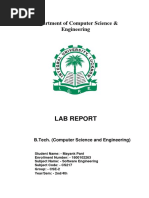 Software Engineering Lab Report (CS217)