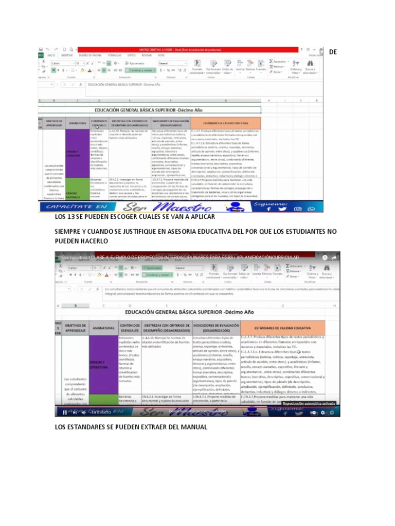Proyectos Interdisciplinarios en Educación | PDF