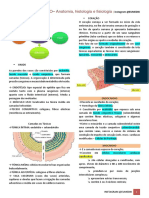 Coração - anatomia, histologia, fisiologia