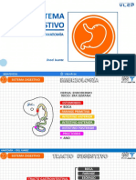 2021 - 07 - 20 - 21 - 08 - 33 - Semana 09 - Sistema Digestivo
