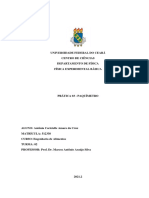 PRÁTICA 03 - Antônia Caricielle Amaro Da Cruz.pdf.