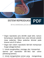 Pert 1 Sistem Reproduksi Pria