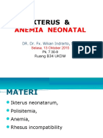 2015 Ikterus Anemia