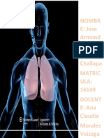 Funciones Del Aparato Respiratorio