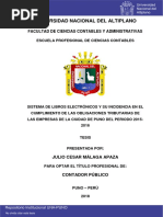 Málaga Apaza Julio Cesar