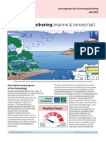 Enhanced Weathering (Marine & Terrestrial) : Geoengineering Technology Briefing Jan 2021