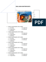 Soal Ujian Anatomi Mata