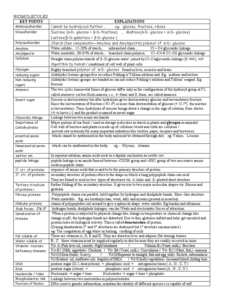 Biomolecules Key Points Explanations PDF Glucose Carbohydrates
