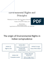 SRJ Environmental Rights and Principles