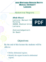 Abdominal Regions