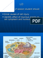 At The End of Session Student Should Be Able To Enlist Causes of Cell Injury Identify Effect of Injurious Agents On Cell Cytoplasm and Nucleus
