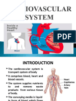 Cardiovascular System ,.