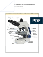 Farr - Data Sheet For Experiment-Microscopy and The Cells