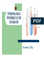 Fisio Log i Pe Mbul Uh Darah