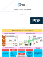 Historia Natural Del Dengue 48309 Downloable