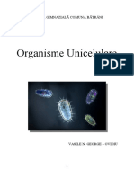 Organisme Unicelulare - Vasile - George - Ovidiu