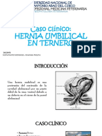 Caso Clínico 3 (Fisiopatologia)